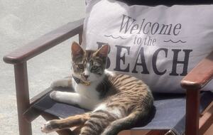 Coastal Haven on Corcoran - Goolwa Beach, Australia