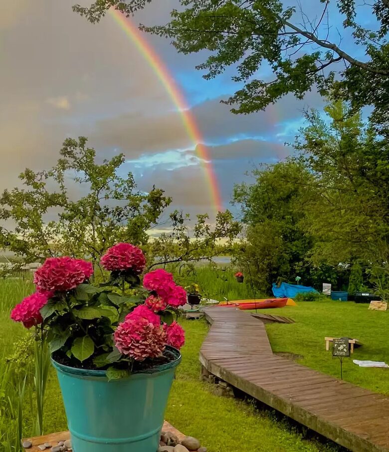 Northern Michigan Lakefront Haven - Alanson, Michigan