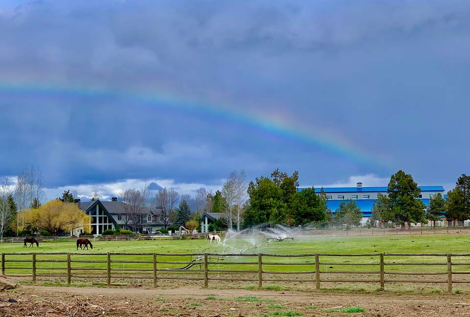 Middle of property looking back at the Rance