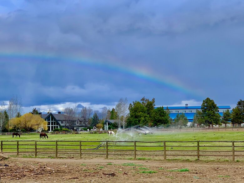 Middle of property looking back at the Rance