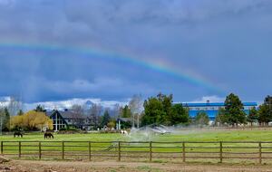 Middle of property looking back at the Rance