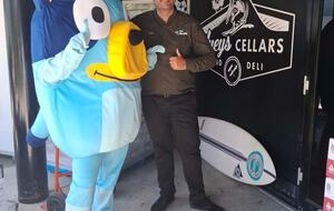 Free-Standing Coastal Retreat Steps from Blueys Beach - Blueys Beach, Australia