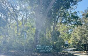 Free-Standing Coastal Retreat Steps from Blueys Beach - Blueys Beach, Australia