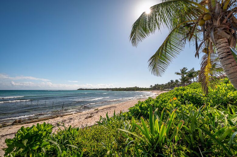 Tao Ocean Jungle & Sea Retreat - Akumal, Mexico