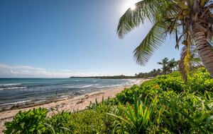 Tao Ocean Jungle & Sea Retreat - Akumal, Mexico