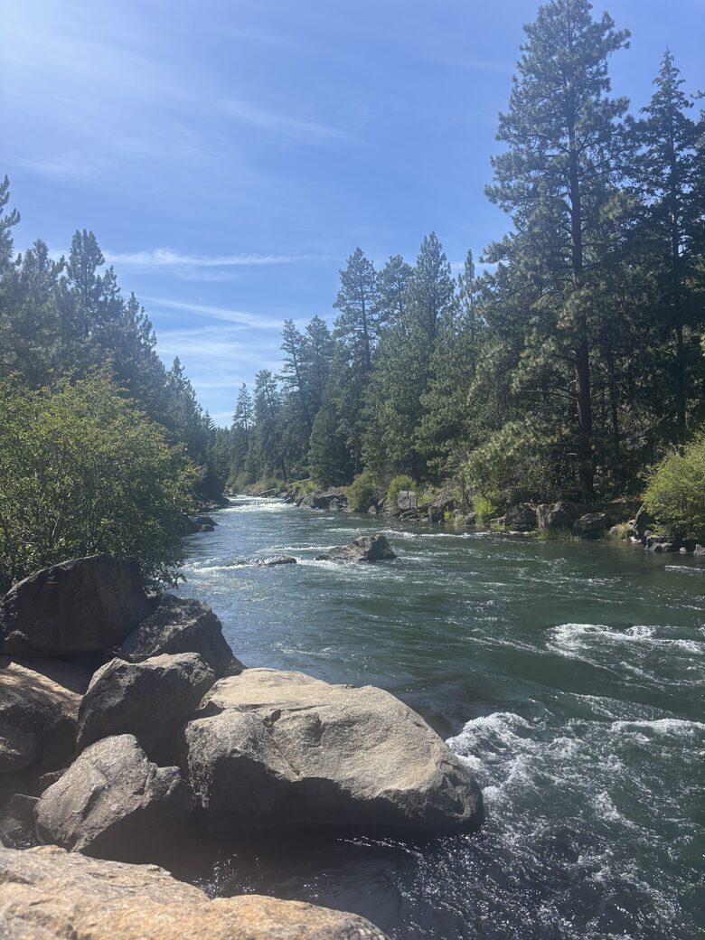 Cozy Wooded Getaway Close to Mt. Bachelor - Bend, Oregon