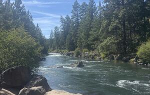 Cozy Wooded Getaway Close to Mt. Bachelor - Bend, Oregon