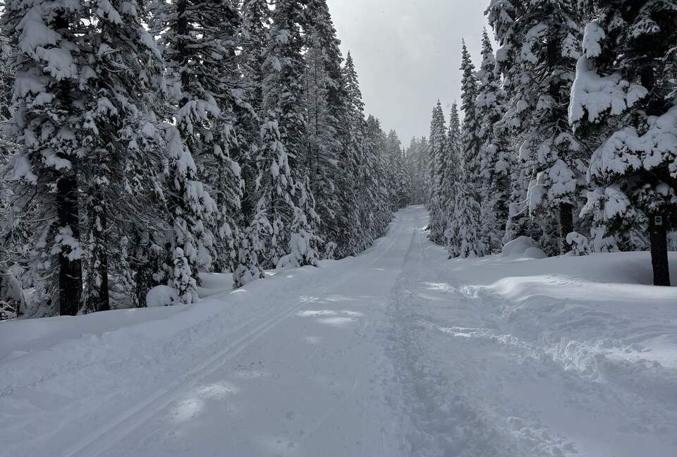 Cozy Wooded Getaway Close to Mt. Bachelor - Bend, Oregon