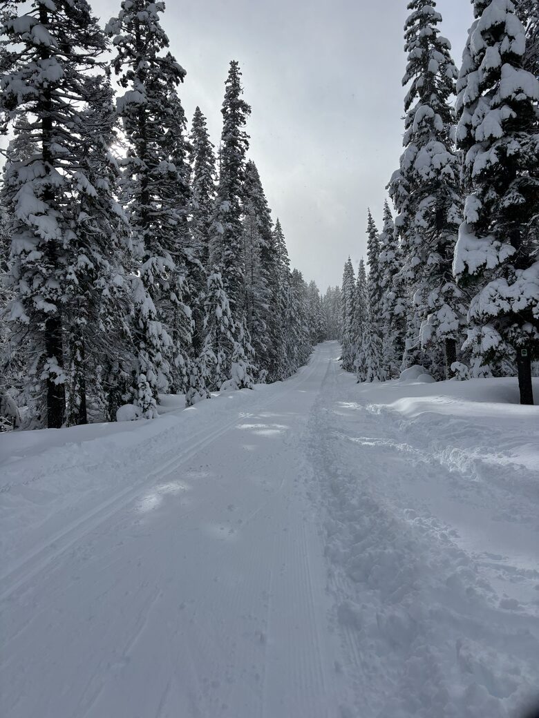 Cozy Wooded Getaway Close to Mt. Bachelor - Bend, Oregon