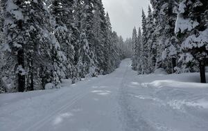 Cozy Wooded Getaway Close to Mt. Bachelor - Bend, Oregon