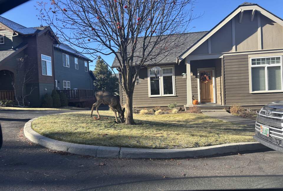 Cozy Wooded Getaway Close to Mt. Bachelor - Bend, Oregon