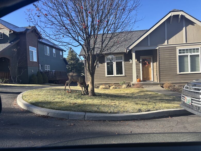 Cozy Wooded Getaway Close to Mt. Bachelor - Bend, Oregon