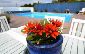 Stylish Coastal Escape Surrounded by Nature - Milford Haven, United Kingdom