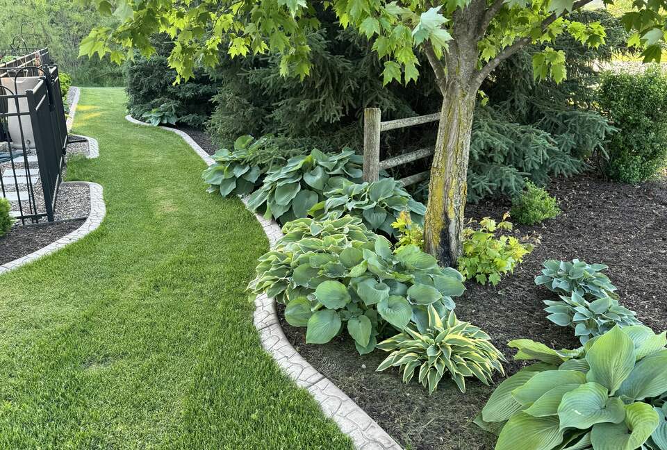 Fully Landscaped Yard, side view