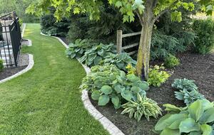 Fully Landscaped Yard, side view