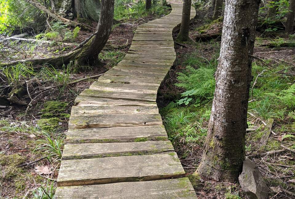 Magical Anam Cara Cabin on Lake Medora - Copper Harbor, Michigan