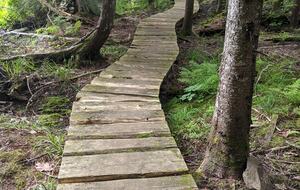 Magical Anam Cara Cabin on Lake Medora - Copper Harbor, Michigan