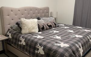 A Modern Alpine Chalet in the Heart of Packwood - Packwood, Washington