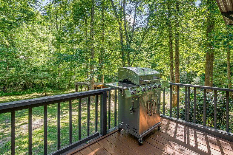 A Peaceful Mountain Getaway in the Heart of Lake Lure - Lake Lure, North Carolina