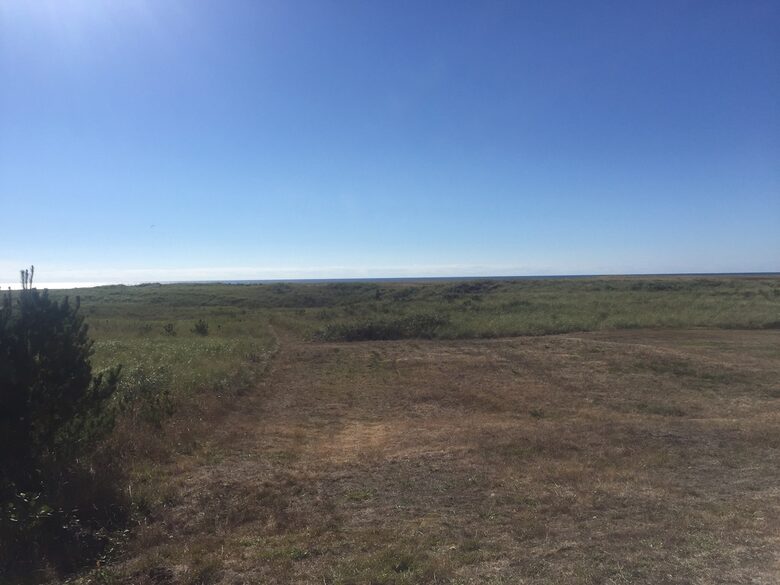 walking path to the beach from home