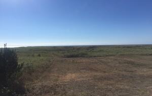 walking path to the beach from home