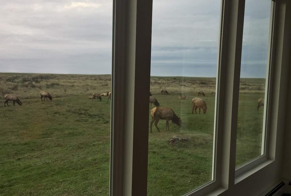 Oceanfront Mid Century Retreat with Private Beach Access in Gearhart - Gearhart, Oregon