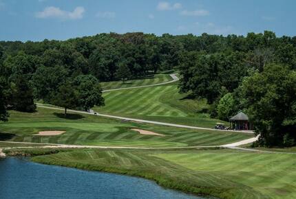 The Curated Treehouse | Private Hot Tub with Trail & Resort Access - Innsbrook, Missouri
