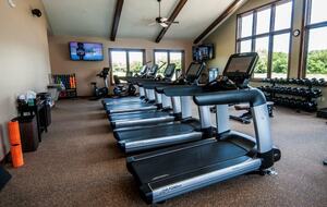 The Curated Treehouse | Private Hot Tub with Trail & Resort Access - Innsbrook, Missouri