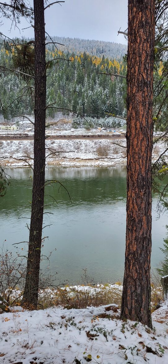 River view from back deck