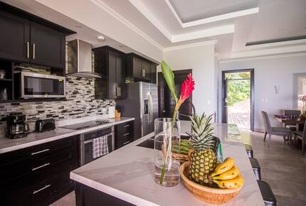 Infinity Edge Pool Above Carara Rainforest and Pacific Coast - Tarcoles, Costa Rica