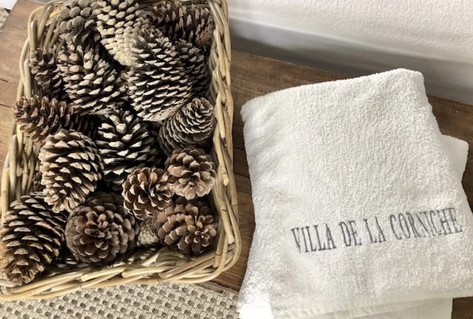 Basque Coast Panorama with Infinity Pool - Urrugne, France