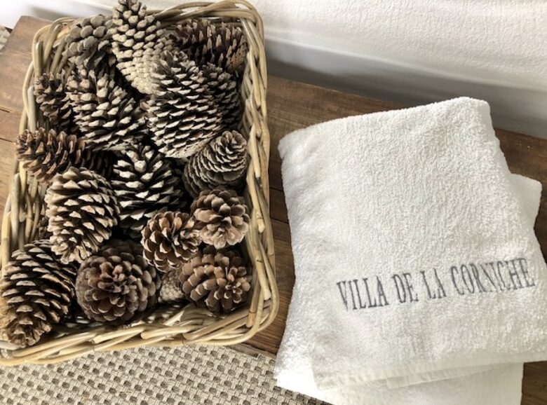 Basque Coast Panorama with Infinity Pool - Urrugne, France