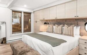 Plush Aspen Getaway - Aspen, Colorado