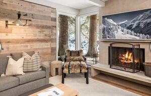 Plush Aspen Getaway - Aspen, Colorado