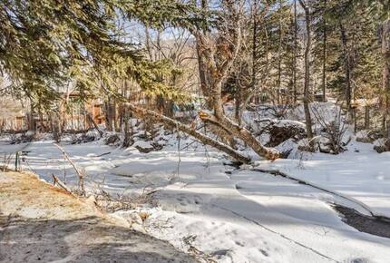 Plush Aspen Getaway - Aspen, Colorado