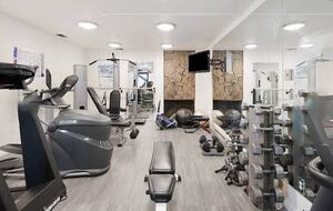 Plush Aspen Getaway - Aspen, Colorado