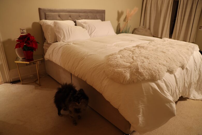 Swan Lake Penthouse Escape - Rickmansworth, United Kingdom