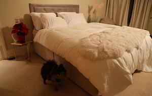 Swan Lake Penthouse Escape - Rickmansworth, United Kingdom