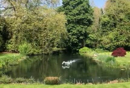 Swan Lake Penthouse Escape - Rickmansworth, United Kingdom