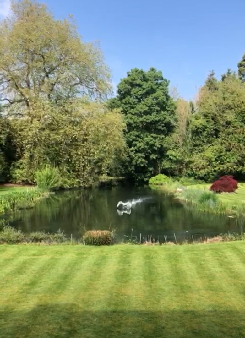 Swan Lake Penthouse Escape - Rickmansworth, United Kingdom