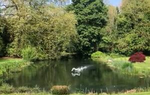 Swan Lake Penthouse Escape - Rickmansworth, United Kingdom