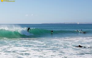 Surfing ! One of the famous spot in the world !