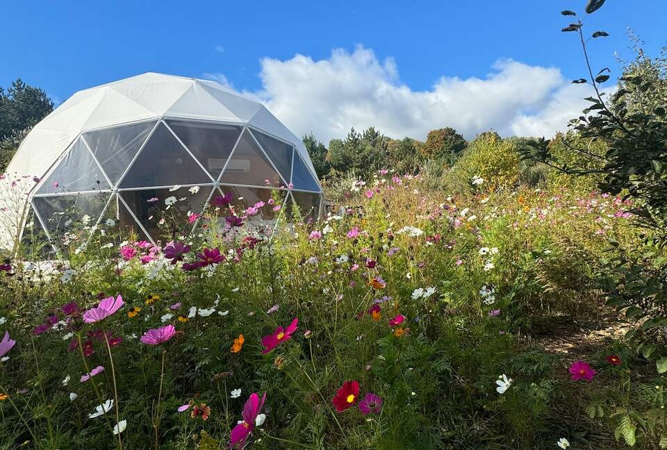 A Geodesic Dome Escape Overlooking the Boyne Valley - Boyne Falls, Michigan