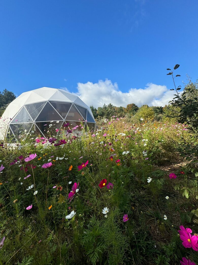 A Geodesic Dome Escape Overlooking the Boyne Valley - Boyne Falls, Michigan