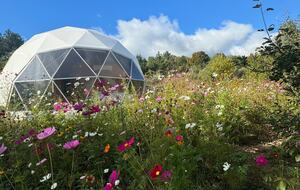 A Geodesic Dome Escape Overlooking the Boyne Valley - Boyne Falls, Michigan