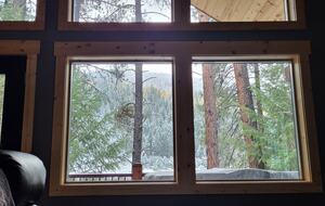 Riverfront Montana Escape Near Quinn’s Hot Springs - St. Regis, Montana