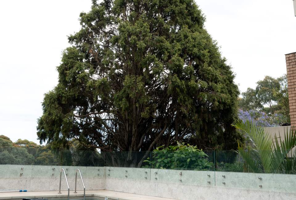 Modern Parkside Retreat Minutes from Bondi & Double Bay - Sydney, Australia