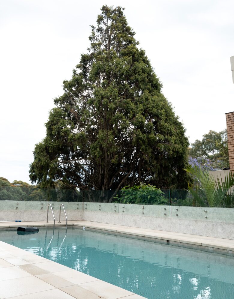 Modern Parkside Retreat Minutes from Bondi & Double Bay - Sydney, Australia