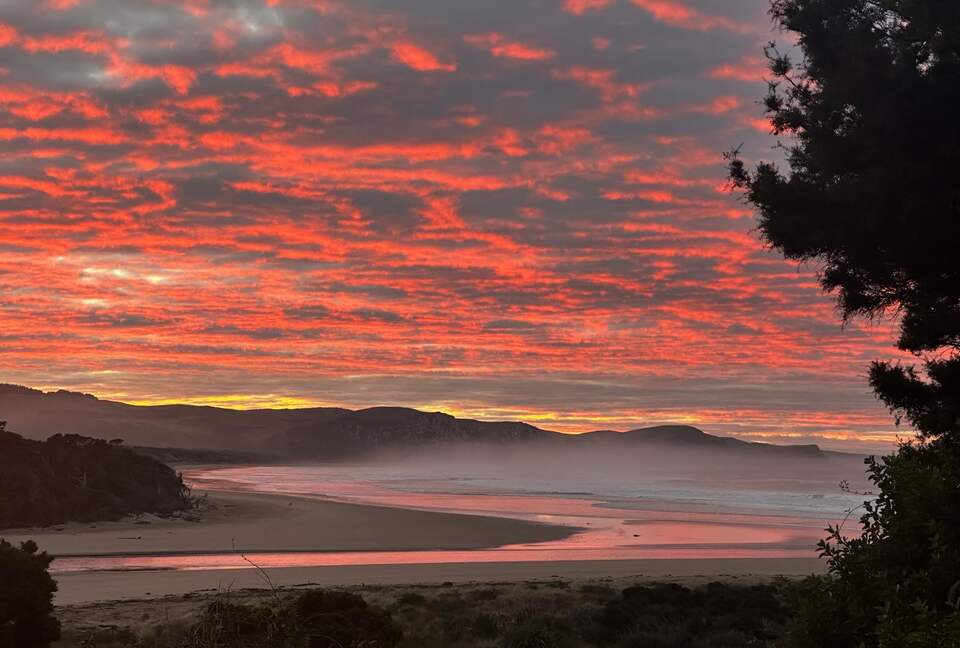 Last Paradise | A Peaceful Catlins Escape - Owaka, New Zealand