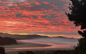 Last Paradise | A Peaceful Catlins Escape - Owaka, New Zealand